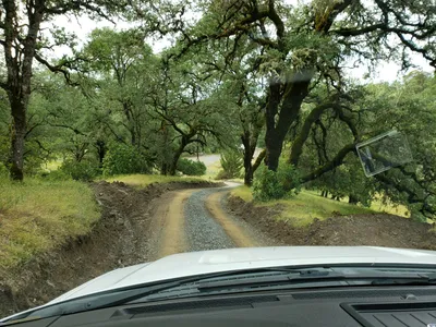 20190520_104553 (Large).jpg